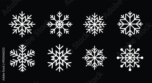 Collection of unique white snowflakes on a black background