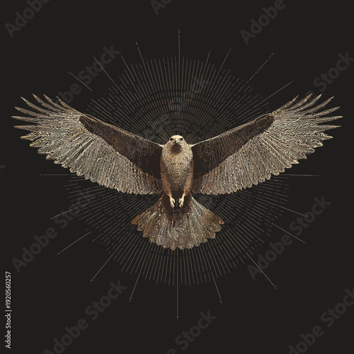Majestic bird of prey with outstretched wings on dark background