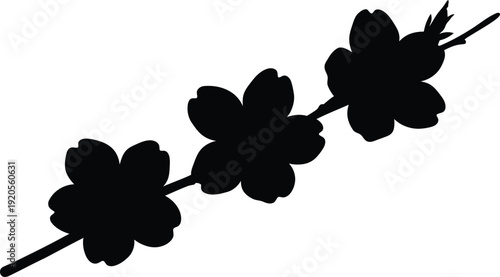 Cherry blossom branch silhouette vector with blooming flowers, black sakura floral illustration isolated on white background