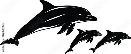 Dolphin family silhouette with mother and calves jumping in ocean water isolated on white background for marine life conservation and aquatic animal design