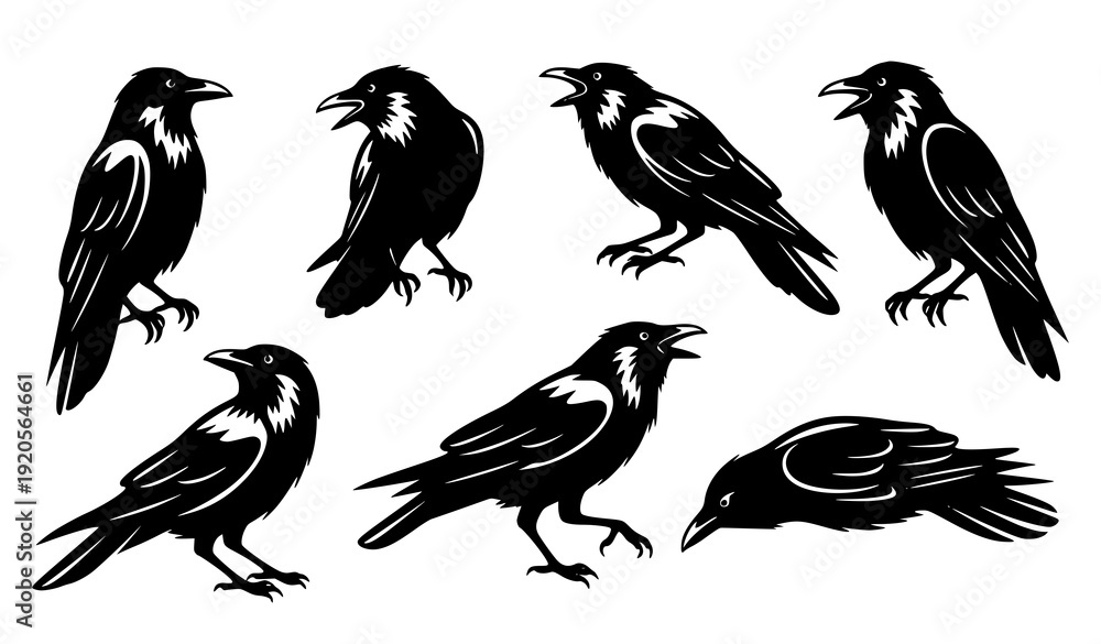 Fototapeta premium Crow silhouette vector bundle in dramatic poses for gothic and nature designs