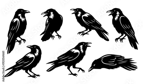 Crow silhouette vector bundle in dramatic poses for gothic and nature designs