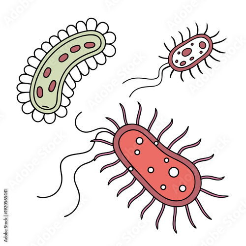 Colorful of three bacteria with flagella and pili microorganism