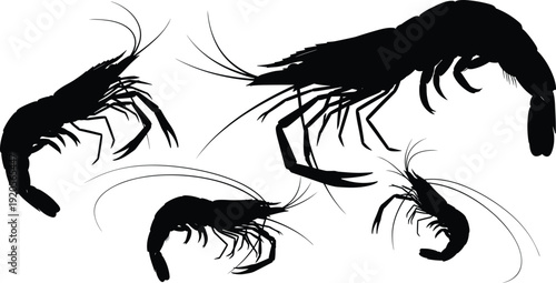 Set of shrimp silhouettes isolated on white background for seafood restaurant menu design and marine life aquatic animal vector illustration for ocean themes,