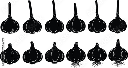 Set of garlic bulb silhouettes isolated on white background for organic food cooking recipe design and healthy vegetable spice vector illustration set,