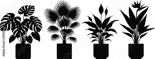 Set of tropical houseplant silhouettes including monstera palm peace lily and bird of paradise in pots for interior design and nature vector graphics