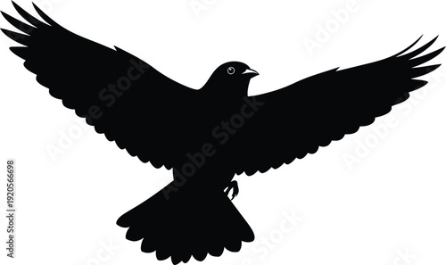 Black silhouette of a bird in flight with wings spread wide