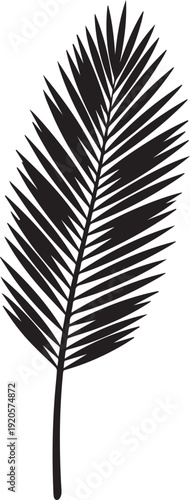 Single black palm leaf silhouette vector illustration line art tropical frond design element