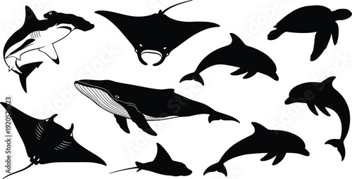 whale and dolphin vector set, manta ray shark silhouettes, sea animal graphics, ocean wildlife icons