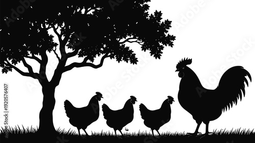 Rooster and hens family silhouette in farm meadow under tree, poultry birds group, cad drawing flat vector illustration, isolated on white