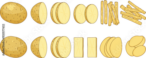 Fresh potato vector set featuring whole raw potatoes sliced rounds potato chips and french fries for cooking recipes snack packaging and restaurant menu illustrations