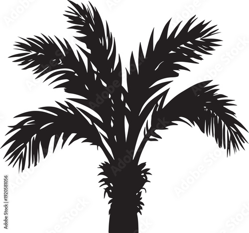 Black silhouette of a palm tree with detailed fronds against a white background