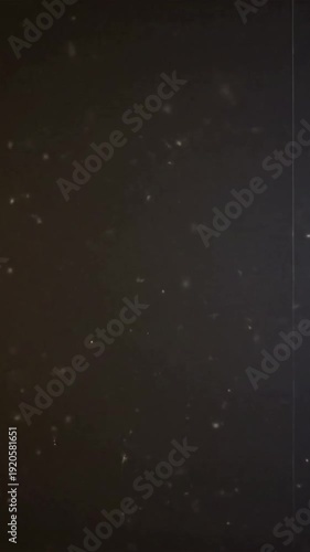 Shimmering Cinematic Overlay A clean, gently sparkling film grain effect featuring delicate, twinkling light specks, perfectly designed for seamless looping in cinematic projects.