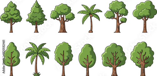 Minimal flat cartoon tree vector set forest jungle coconut deciduous
