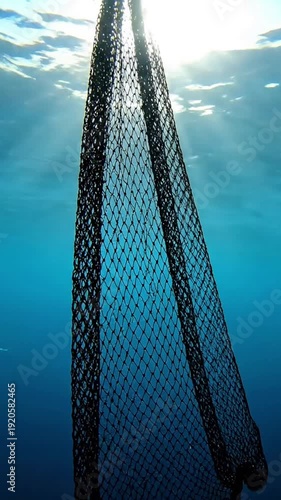 Dynamic Silhouette Emphasize the dark shape of the net against a luminous background, with subtle movement.