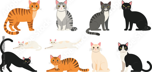 Colorful cat character collection featuring various feline breeds and poses including ginger tabby grey striped black and bicolor cats for pet vector.