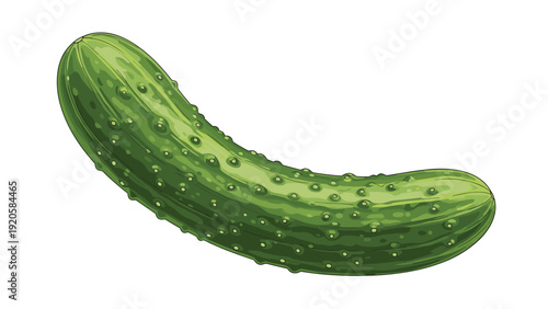 Detailed realistic illustration of a fresh green cucumber with textured skin and small bumps isolated on a white background.