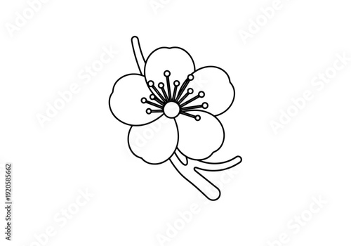 Stylized Blossom Branch Single Outline Botanical Element Delicate Bloom On White Background Simple Nature Art Design For Decoration