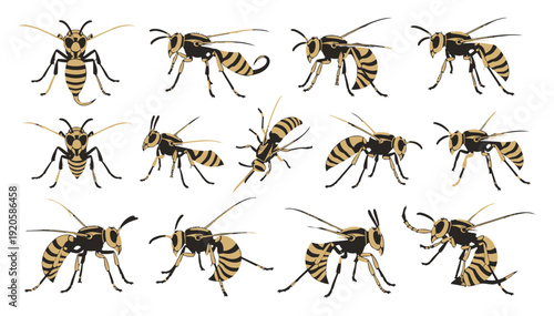 Set of black and yellow wasp illustrations in various dynamic poses