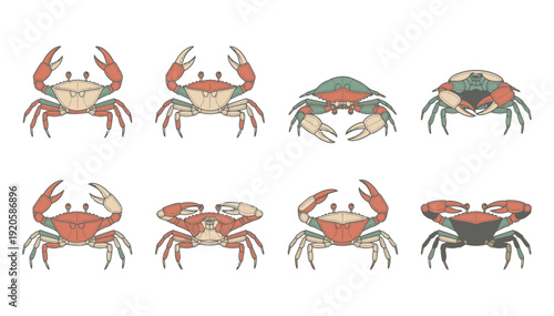Colorful crab illustrations in various poses and colors