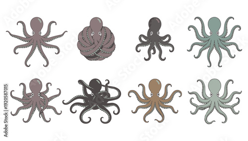 Colorful octopus illustrations in various shades and poses