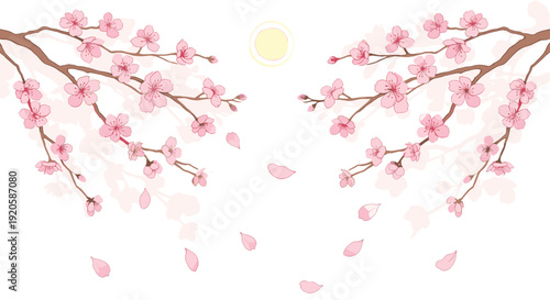 Delicate cherry blossom branches with pink flowers and falling petals