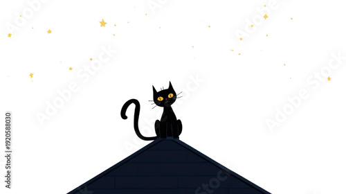 black cat on the roof and stars in the sky