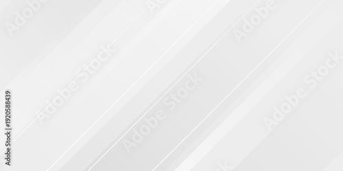 Modern abstract white backdrop with elegant shape design. Abstract white geometric shape background.