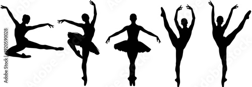 Elegant black silhouettes of female ballet dancers performing classical choreographic moves in tutu dresses isolated on a white background.
