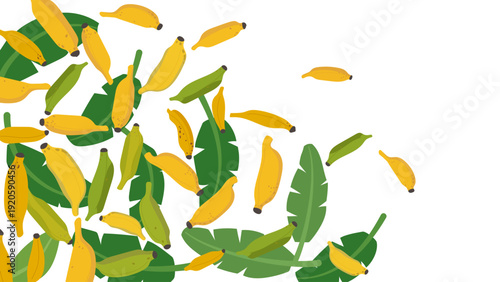 Minimalist flat vector illustration of ripe and unripe bananas and leaf