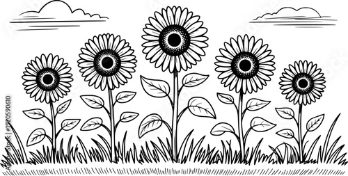 Hand Drawn Black and White Sunflowers Growing in a Field with Clouds nature plant