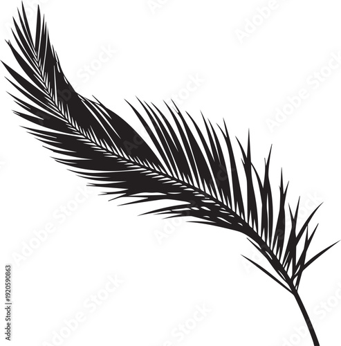 Tropical palm leaf vector silhouette illustration, decorative exotic botanical line art