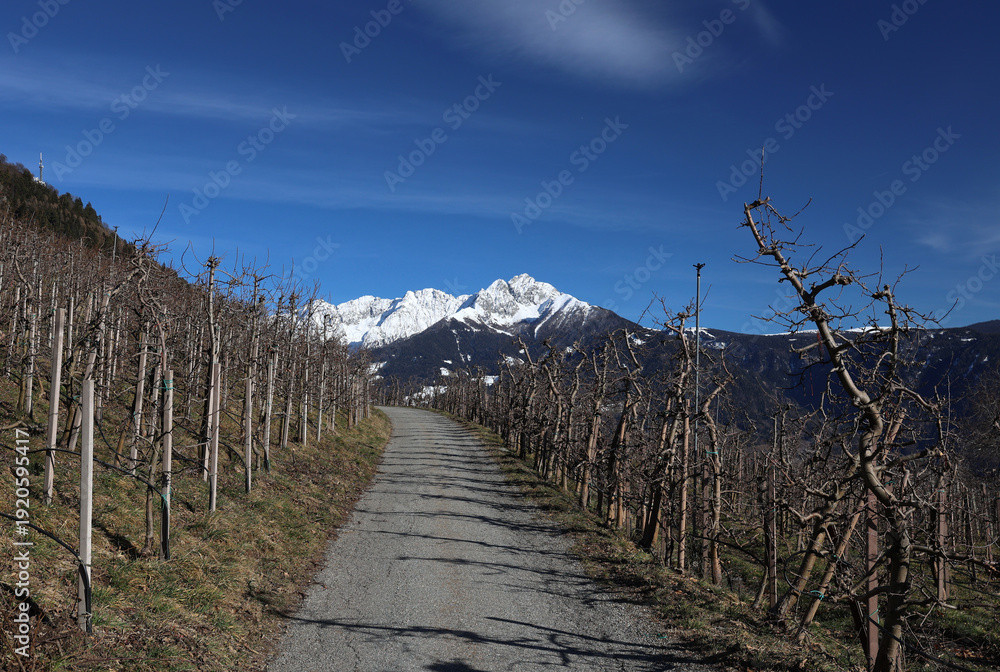 Obraz premium Landschaft