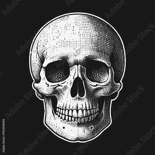 Detailed Skull Illustration: Anatomical Art for Medical and Gothic Themes.