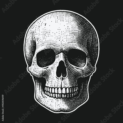 Detailed Skull Illustration on Black Background: Anatomy and Mortality.