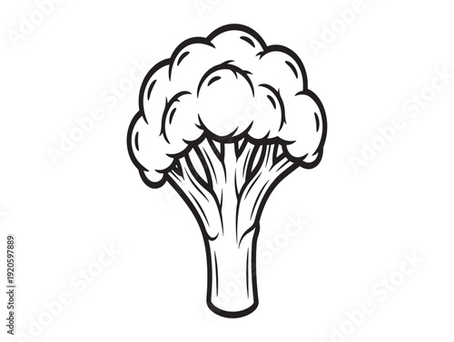 A black and white line drawing of a cauliflower vegetable