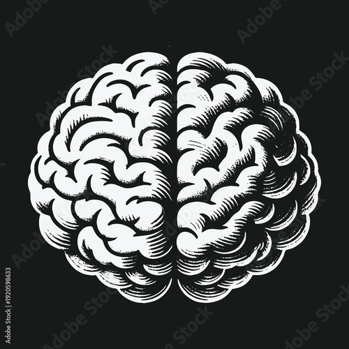 Detailed Brain Illustration on Black Background: A Focus on Cognitive Function.