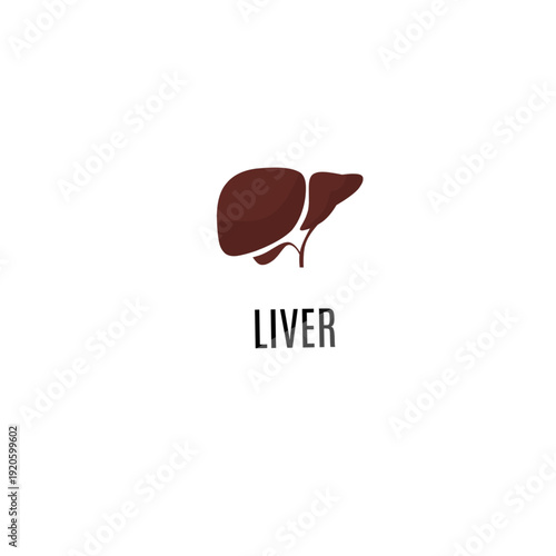 Minimalist vector illustration of a human liver organ silhouette with text. Modern medical symbol for healthcare and anatomy.