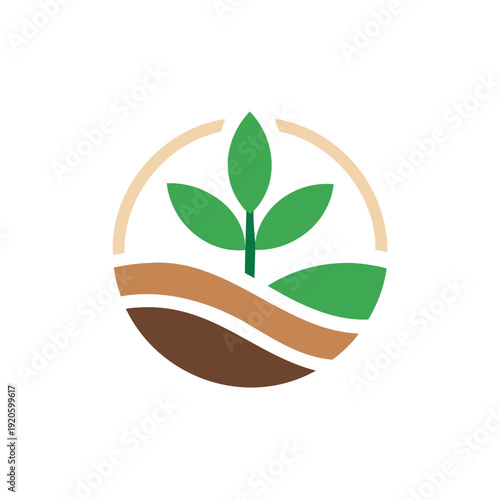 Green sprout growing in fertile soil layers isolated on white background