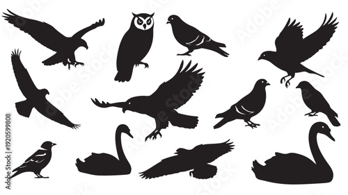 Bird Silhouettes in Various Poses with Dramatic Flight Patterns in Black on White Background for Wildlife Illustration