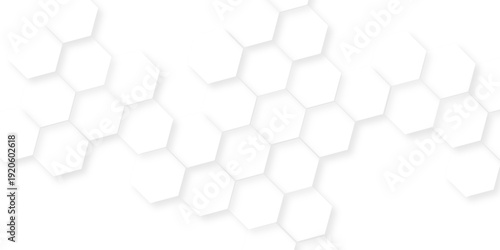 geometric hexagonal honeycomb shape texture background, minimalist white abstract hexagonal geometric design, textured effect against a lighter backdrop,  white hexagonal shapes create a modern .