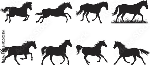 Galloping Horse Silhouette Set Featuring Wild Mustangs Running In Different Poses For Equestrian Sports Ranch Life Nature Branding Farm Animal Icons And