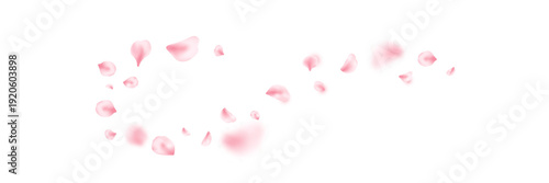 Spring cherry blossom wave. Sakura petal flying composition. Japan flower banner. Cosmetic beauty product frame. Natural decoration. Spa pink rose bg. Valentine romantic card. Vector illustration