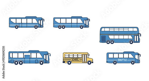 Collection of various blue and yellow buses for transportation.