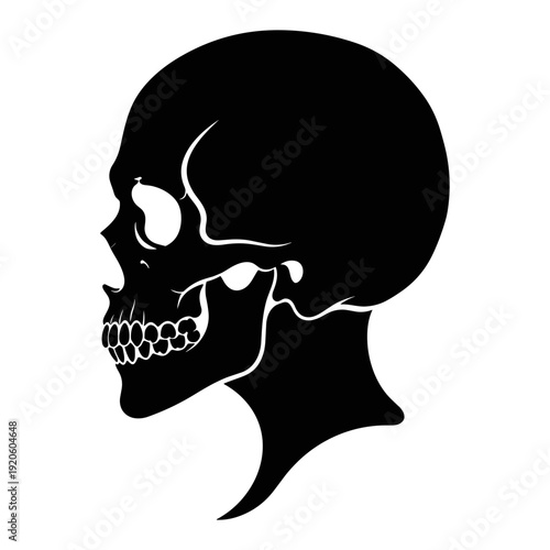 Human Skull Profile Silhouette Vector for Medical Study and Gothic Art