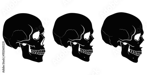 Human Skull Silhouette Set Vector Collection of Different Angles for Gothic Art