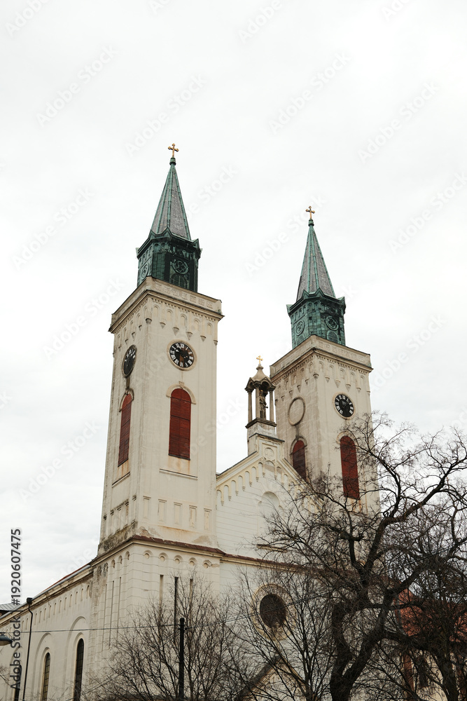 Obraz premium Twin church towers with clocks rising above winter trees in Sombor, Serbia. Symmetrical European landmark and cultural heritage concept.