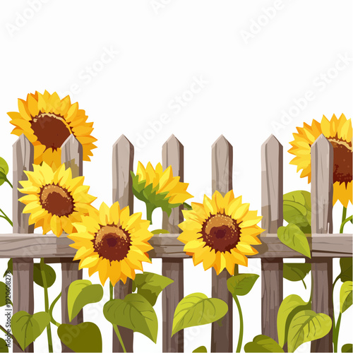 Vibrant summer scene with golden sunflowers blooming brightly along a rustic wooden fence in an idyllic countryside garden