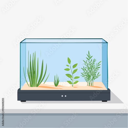Aquarium with aquatic plants and sand on a light blue background