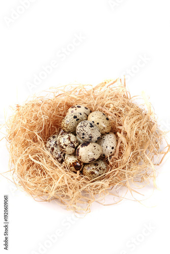 Fresh Quail Eggs in Straw Nest - Raw Protein Rich Delicious Farm Ingredient